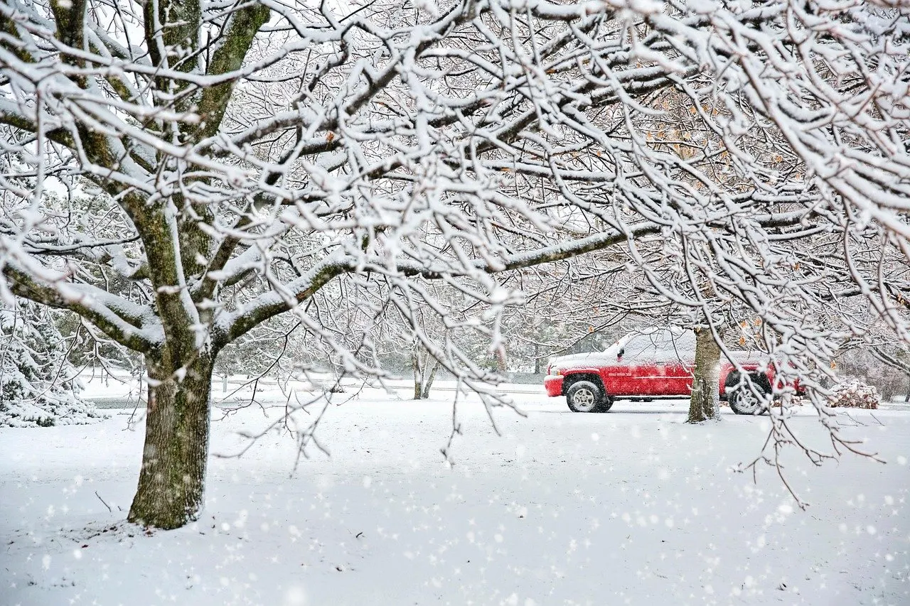 Verschneiter Baum mit Ästen über einem roten Pickup auf schneebedeckter Fläche bei Schneefall